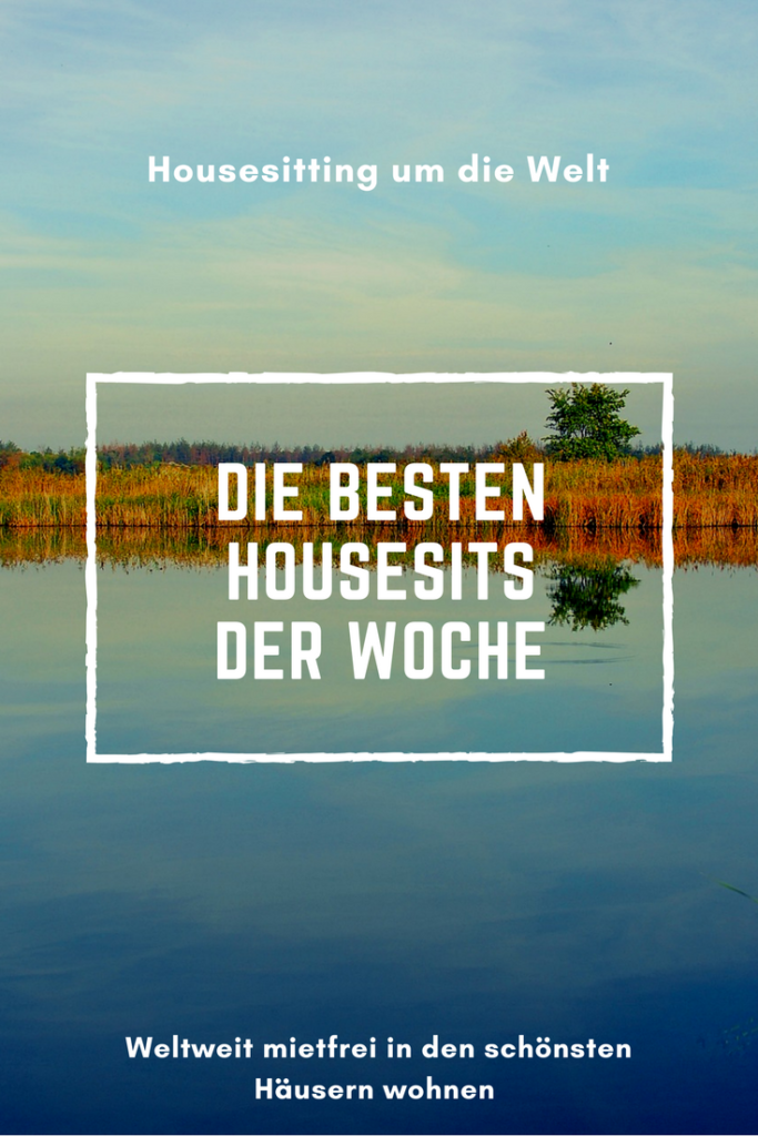 die besten housesits die besten housesitting Jobs der Woche